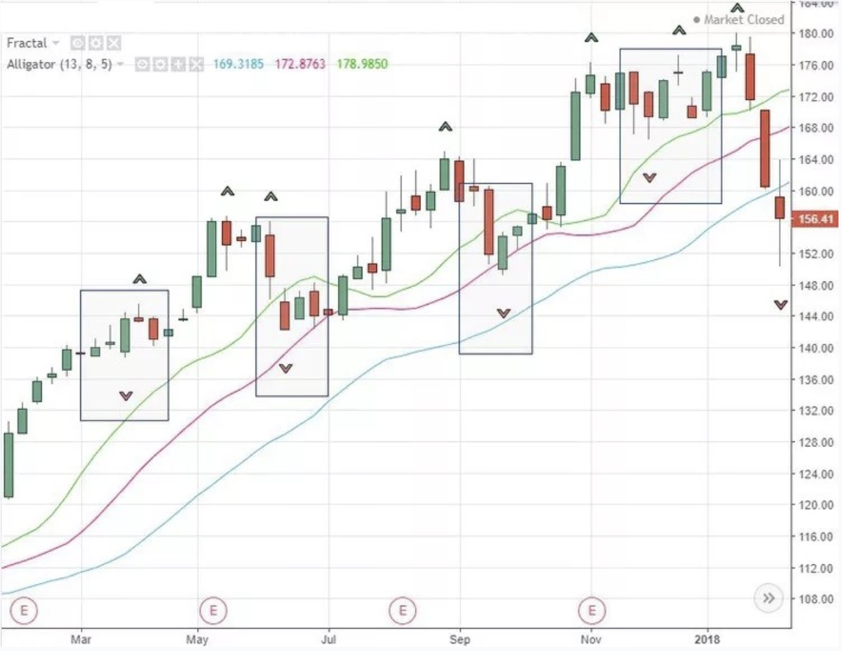 Understanding Fractals in the Forex Market