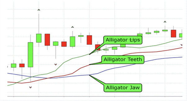 Simultaneous Application of Fractal and Alligator Strategies