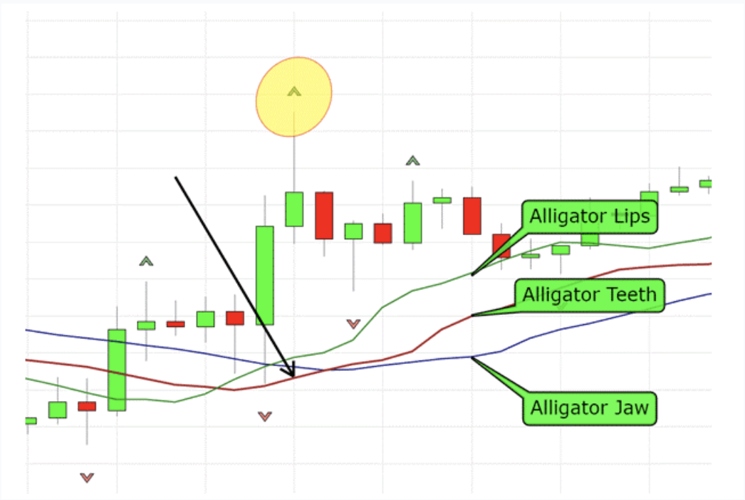 Buy Signal